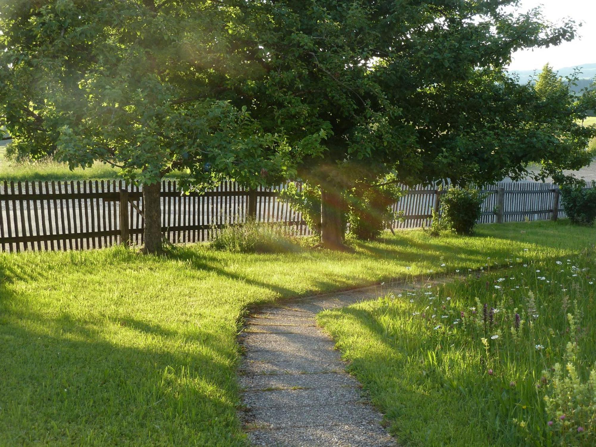 Ferienwohnung Hoernle 바트코흘그루프 외부 사진